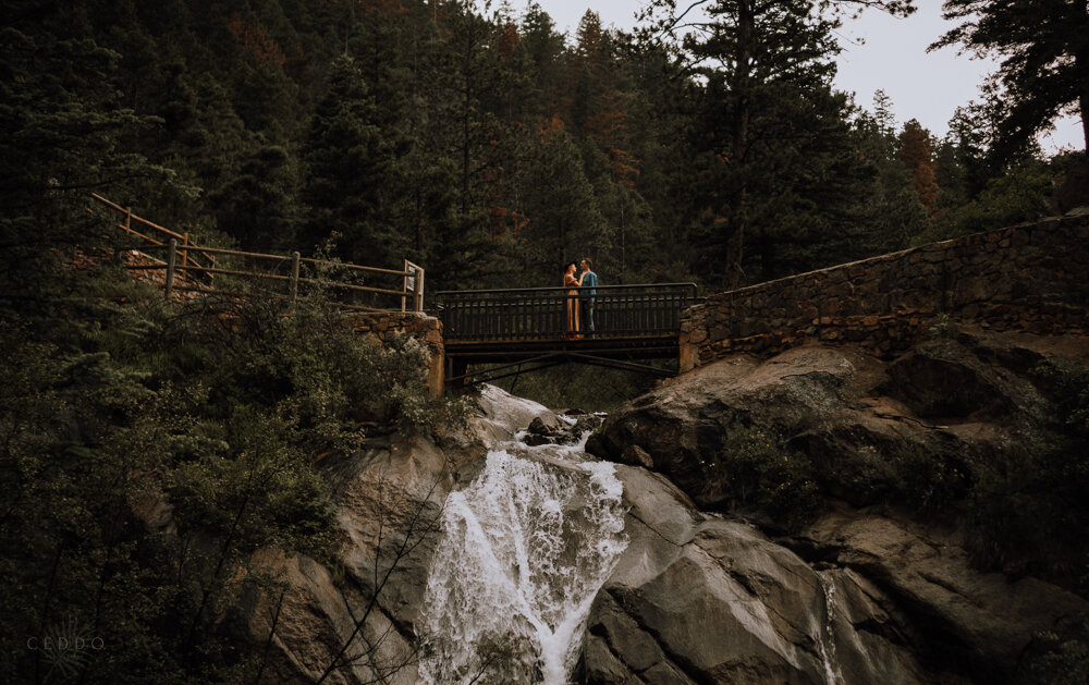Victoria&PatrickEngagementPhotos-7.jpg