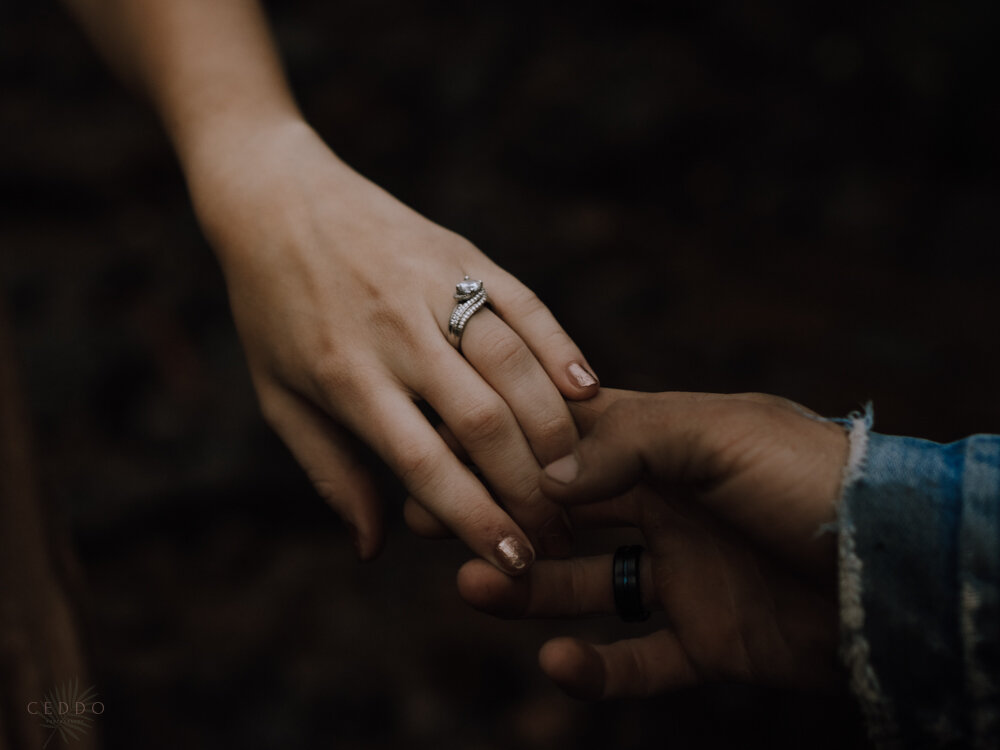 Victoria&PatrickEngagementPhotos-95.jpg